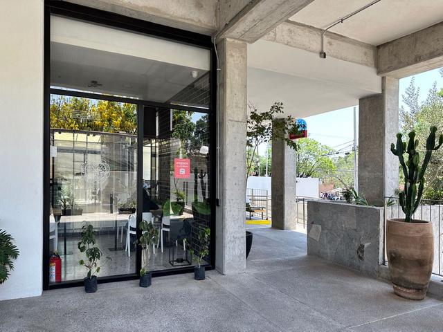 Foto de la galeria de imagenes