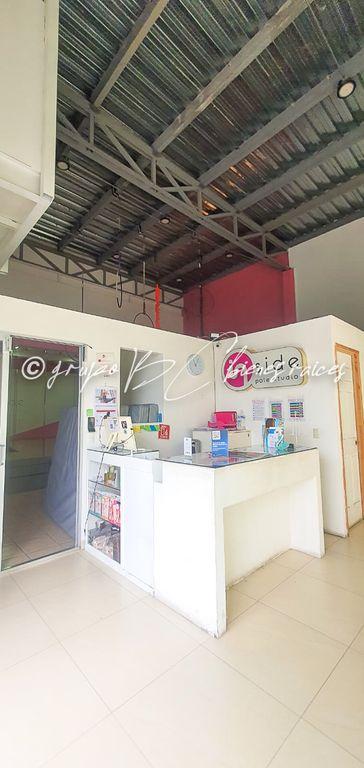 Foto de la galeria de imagenes