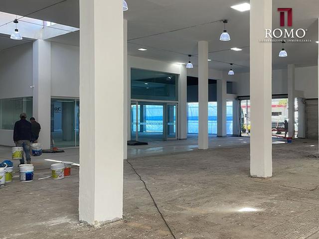 Foto de la galeria de imagenes