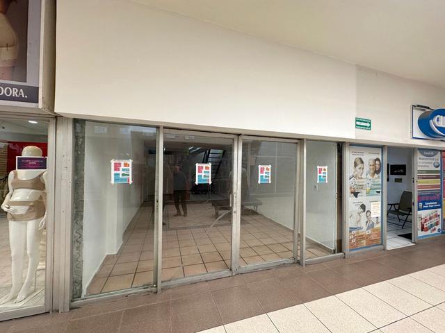 Foto de la galeria de imagenes