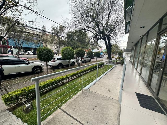 Foto de la galeria de imagenes