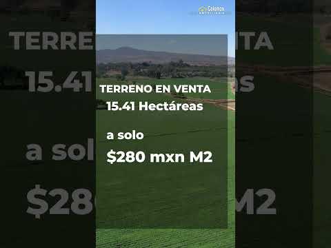 Previsualización de video