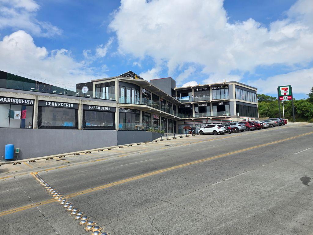 Foto de la galeria de imagenes